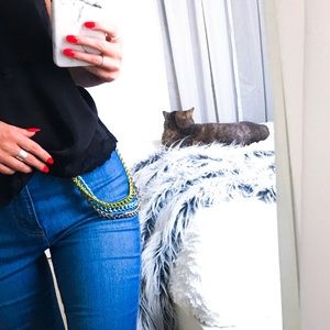 Layered Wallet chain / purse chain